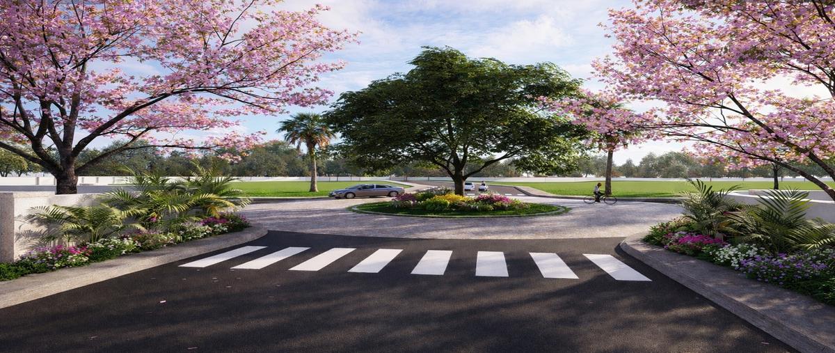 Foto de terreno habitacional en venta en  , bucerías centro, bahía de banderas, nayarit, 0 No. 05