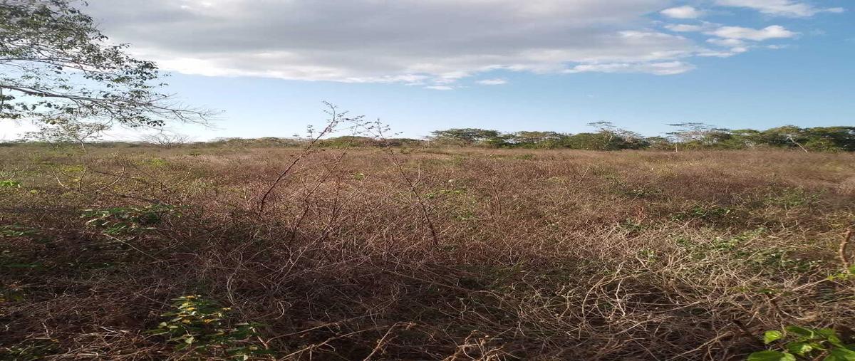 Foto de terreno habitacional en , buctzotz, buctzotz, yucatán, 0 foto 01 Foto de terreno habitacional en venta en , buctzotz, buctzotz, yucatán, 0 No. 01
