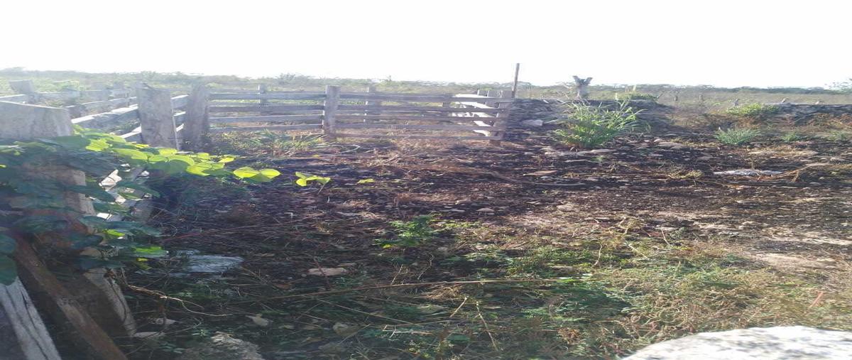 Foto de terreno habitacional en , buctzotz, buctzotz, yucatán, 0 foto 04 Foto de terreno habitacional en venta en , buctzotz, buctzotz, yucatán, 0 No. 04