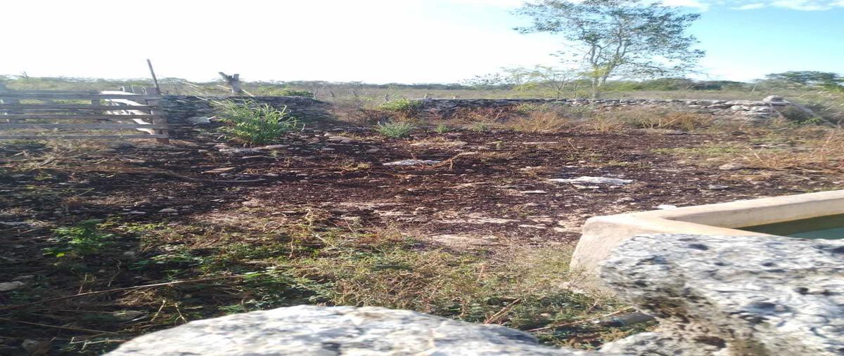 Foto de terreno habitacional en , buctzotz, buctzotz, yucatán, 0 foto 05 Foto de terreno habitacional en venta en , buctzotz, buctzotz, yucatán, 0 No. 05