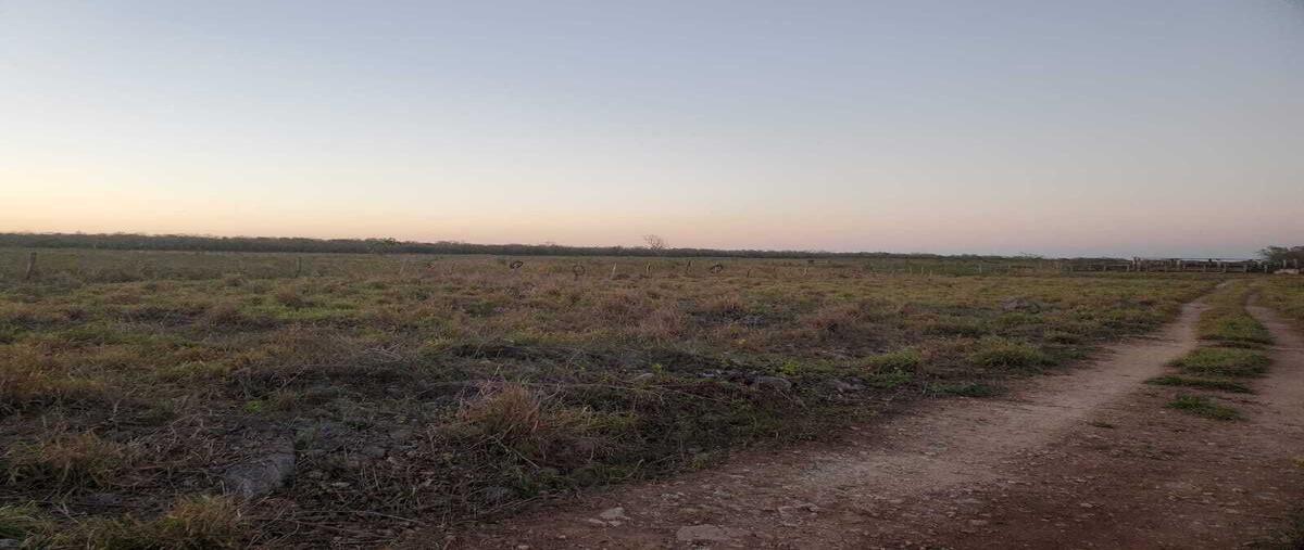 Foto de rancho en venta en  , buctzotz, buctzotz, yucatán, 0 No. 03