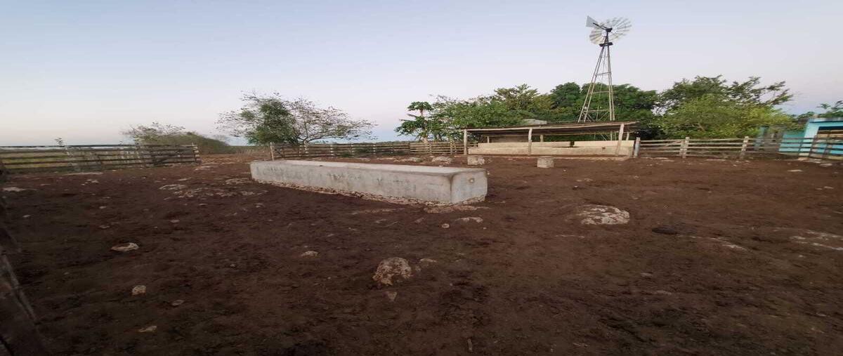 Foto de rancho en venta en  , buctzotz, buctzotz, yucatán, 0 No. 04