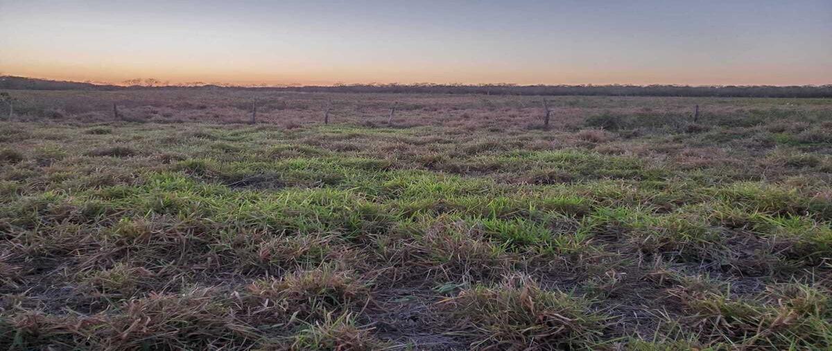 Foto de rancho en venta en  , buctzotz, buctzotz, yucatán, 0 No. 05