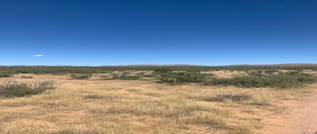 Foto de rancho en venta en  , buena fe, nuevo casas grandes, chihuahua, 0 No. 03