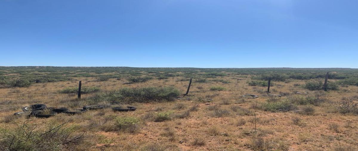 Foto de rancho en venta en  , buena fe, nuevo casas grandes, chihuahua, 0 No. 04