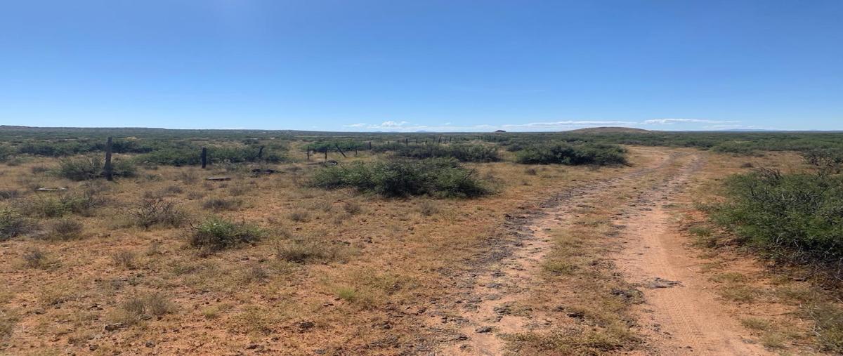 Foto de rancho en venta en  , buena fe, nuevo casas grandes, chihuahua, 0 No. 05