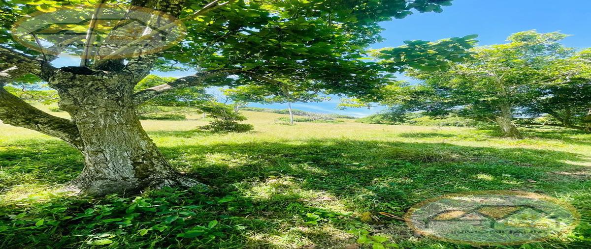 Foto de terreno habitacional en venta en  , buena vista, alvarado, veracruz de ignacio de la llave, 27303104 No. 04