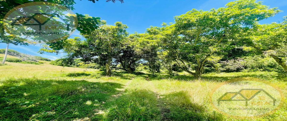 Foto de terreno habitacional en venta en  , buena vista, alvarado, veracruz de ignacio de la llave, 27303104 No. 05