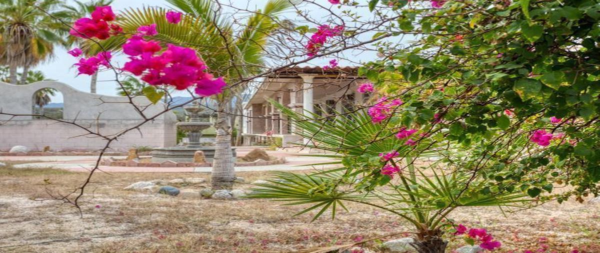 Foto de edificio en venta en  , buena vista, los cabos, baja california sur, 24082733 No. 05