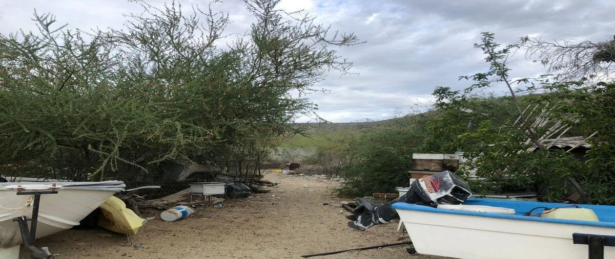 Foto de terreno habitacional en venta en  , buena vista, los cabos, baja california sur, 0 No. 03