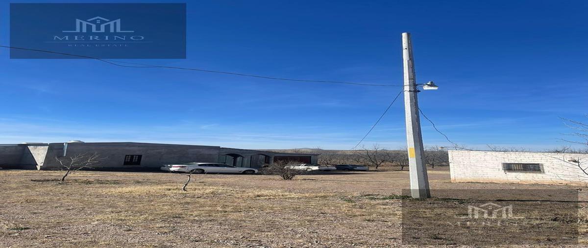 Foto de rancho en , buenaventura, buenaventura, chihuahua, 26483321 foto 04 Foto de rancho en venta en , buenaventura, buenaventura, chihuahua, 26483321 No. 04