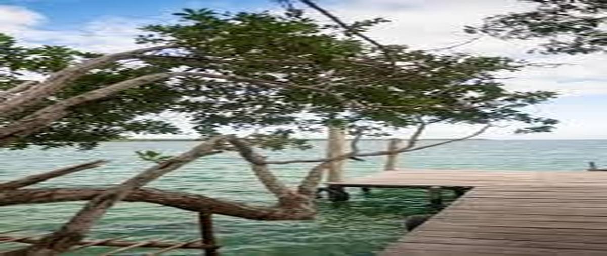 Foto de terreno habitacional en venta en  , buenavista, bacalar, quintana roo, 27995477 No. 04