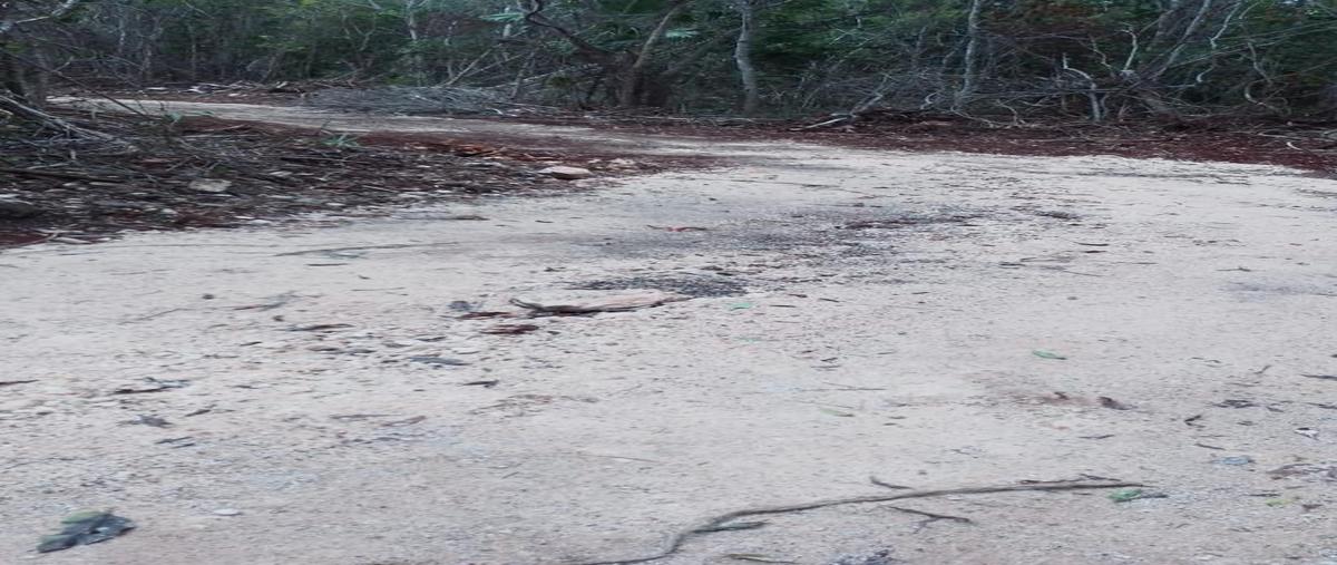 Foto de terreno habitacional en venta en  , buenavista, bacalar, quintana roo, 0 No. 03