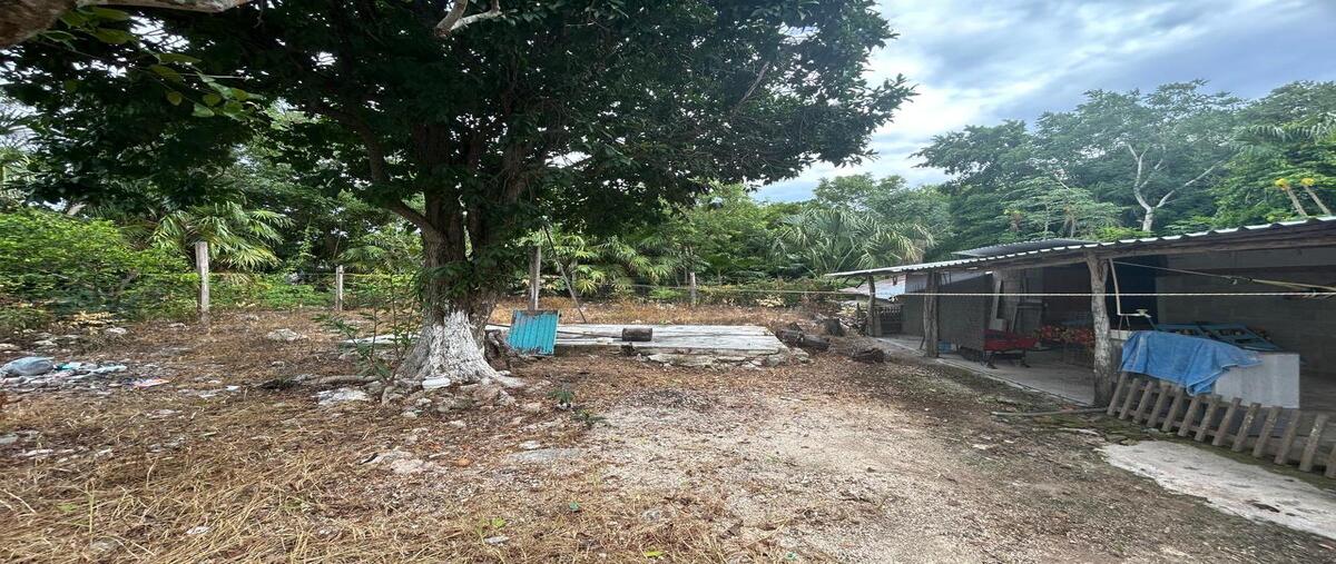 Foto de terreno habitacional en venta en  , buenavista, bacalar, quintana roo, 0 No. 05