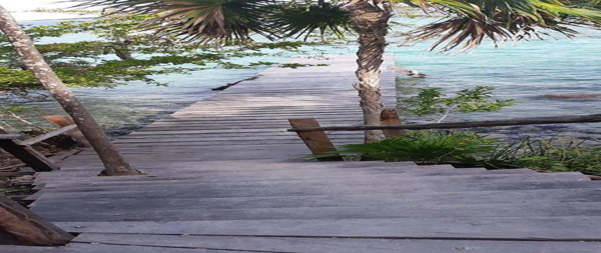 Foto de terreno habitacional en venta en  , buenavista, bacalar, quintana roo, 30889663 No. 05