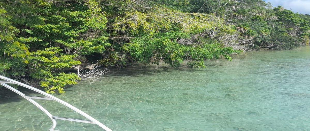 Foto de terreno habitacional en venta en  , buenavista, bacalar, quintana roo, 30889664 No. 04