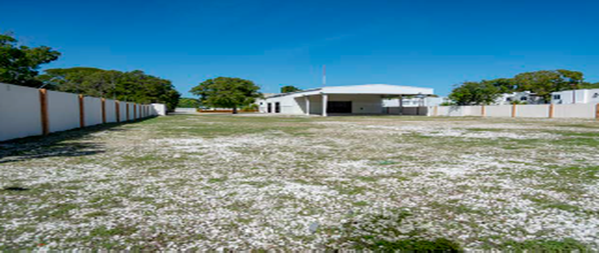 Foto de nave industrial en venta en  , buenavista, carmen, campeche, 25070230 No. 05