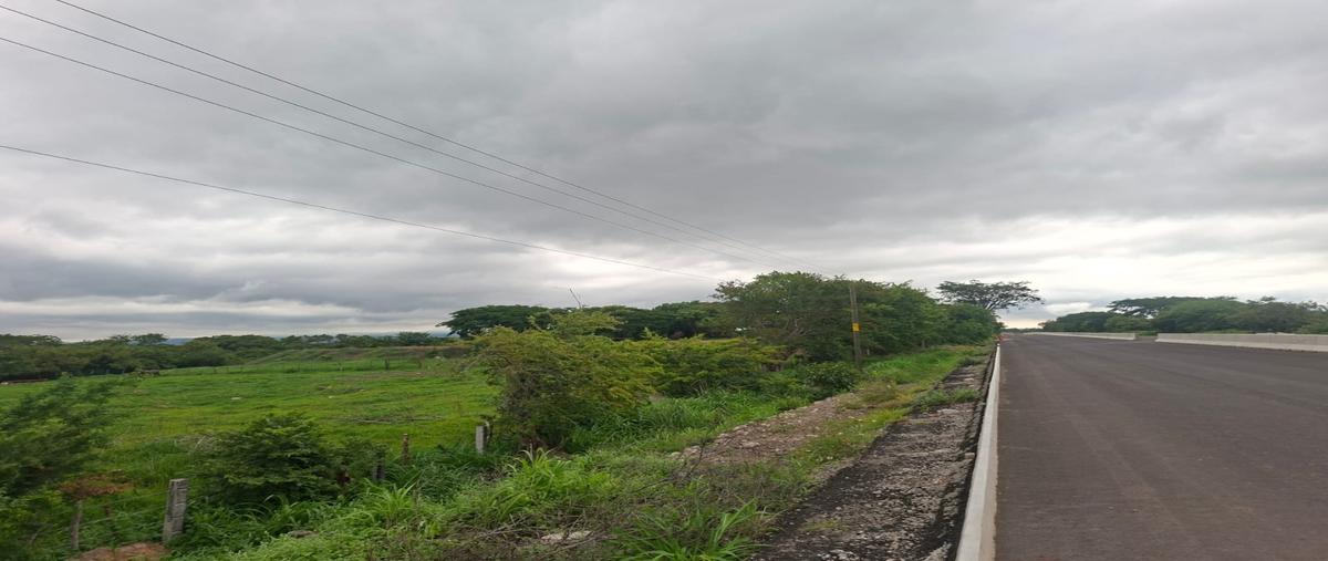 Foto de terreno habitacional en renta en  , buenavista, cuauhtémoc, colima, 0 No. 05