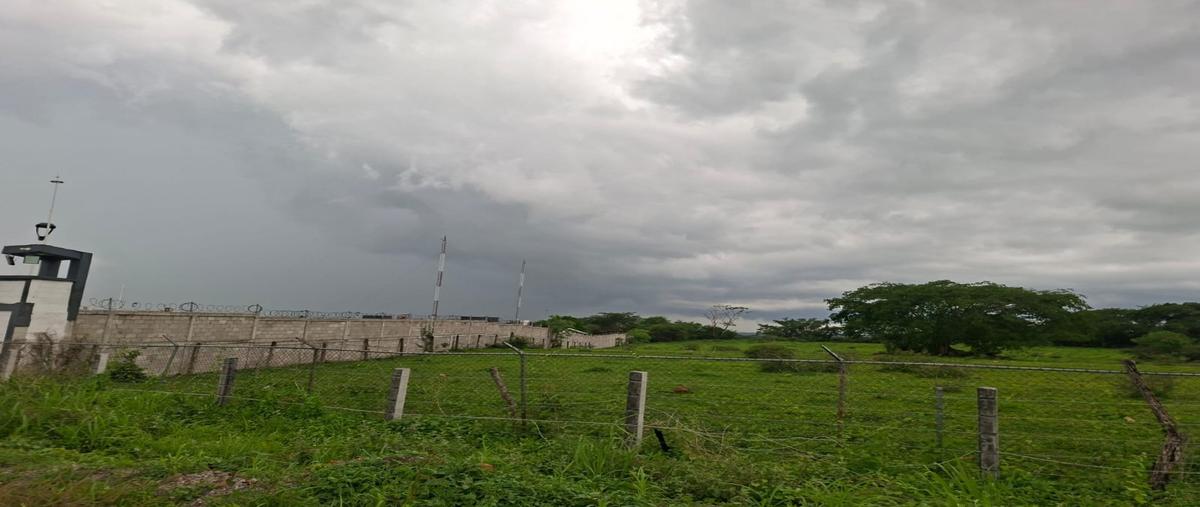Foto de terreno habitacional en renta en  , buenavista, cuauhtémoc, colima, 0 No. 03