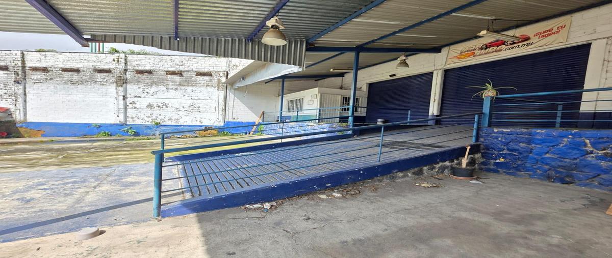 Foto de bodega en renta en  , buenavista, cuernavaca, morelos, 30377607 No. 05