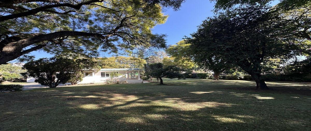 Foto de terreno habitacional en venta en  , buenavista, cuernavaca, morelos, 0 No. 05