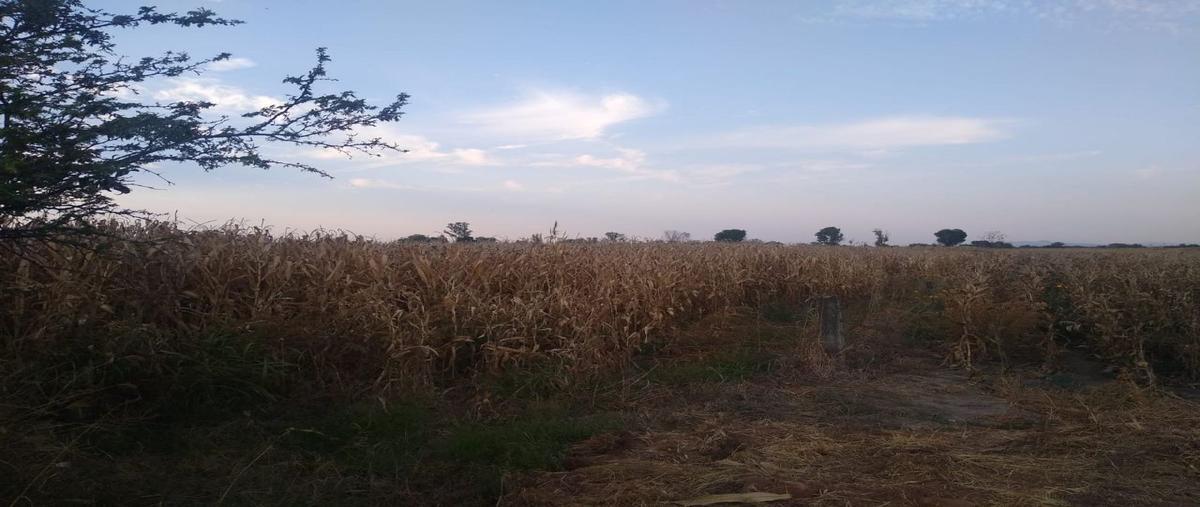 Foto de terreno habitacional en venta en  , buenavista, ixtlahuacán de los membrillos, jalisco, 23222448 No. 04