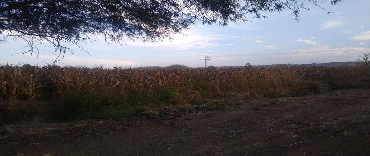 Foto de terreno habitacional en venta en  , buenavista, ixtlahuacán de los membrillos, jalisco, 23222448 No. 05