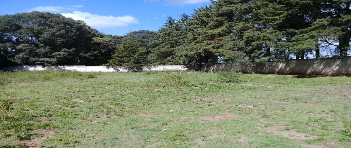 Foto de rancho en venta en  , buenavista, jilotepec, méxico, 0 No. 04