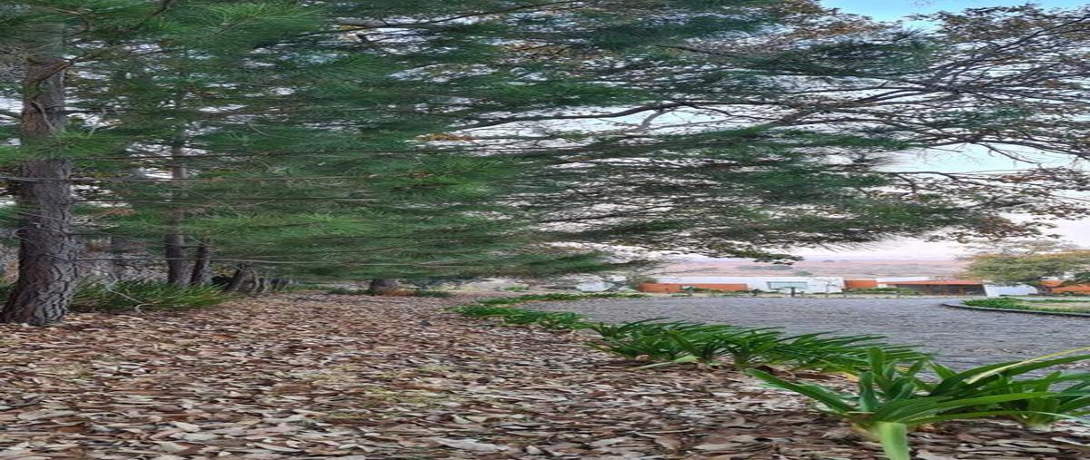 Foto de rancho en venta en  , buenavista, jilotepec, méxico, 31048697 No. 05