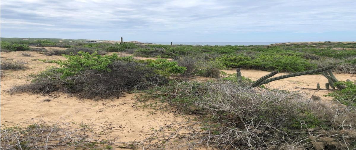 Foto de terreno habitacional en venta en  , buenavista, los cabos, baja california sur, 0 No. 05