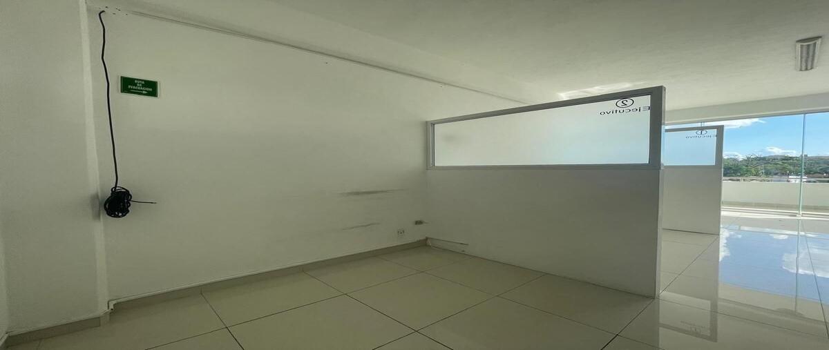 Foto de local en renta en  , buenavista, mérida, yucatán, 28872623 No. 05