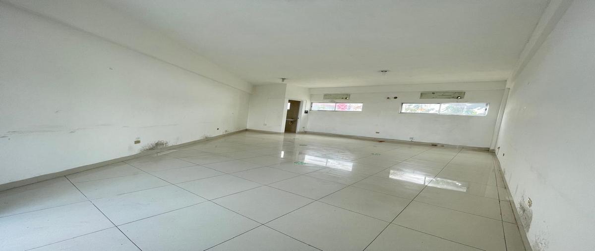 Foto de local en renta en  , buenavista, mérida, yucatán, 0 No. 03
