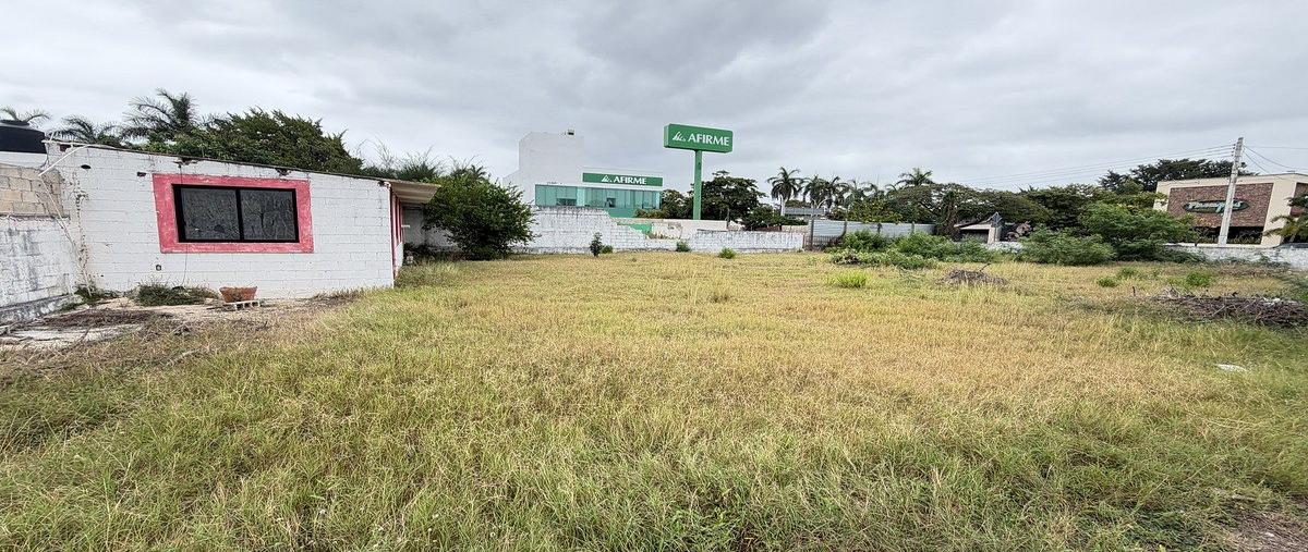 Foto de terreno habitacional en renta en  , buenavista, mérida, yucatán, 0 No. 04