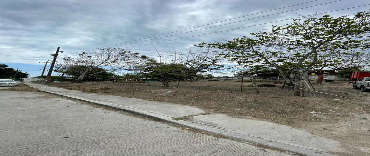 Foto de terreno habitacional en venta en  , buenavista, tampico alto, veracruz de ignacio de la llave, 0 No. 04