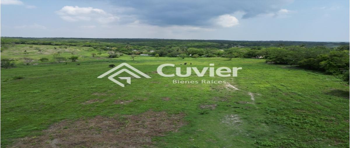 Foto de terreno habitacional en venta en  , buenavista, tampico alto, veracruz de ignacio de la llave, 0 No. 04