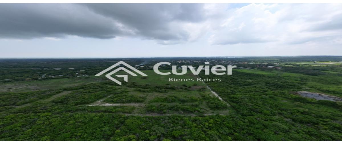 Foto de terreno habitacional en , buenavista, tampico alto, veracruz de ignacio de la llave, 0 foto 02 Foto de terreno habitacional en venta en , buenavista, tampico alto, veracruz de ignacio de la llave, 0 No. 02
