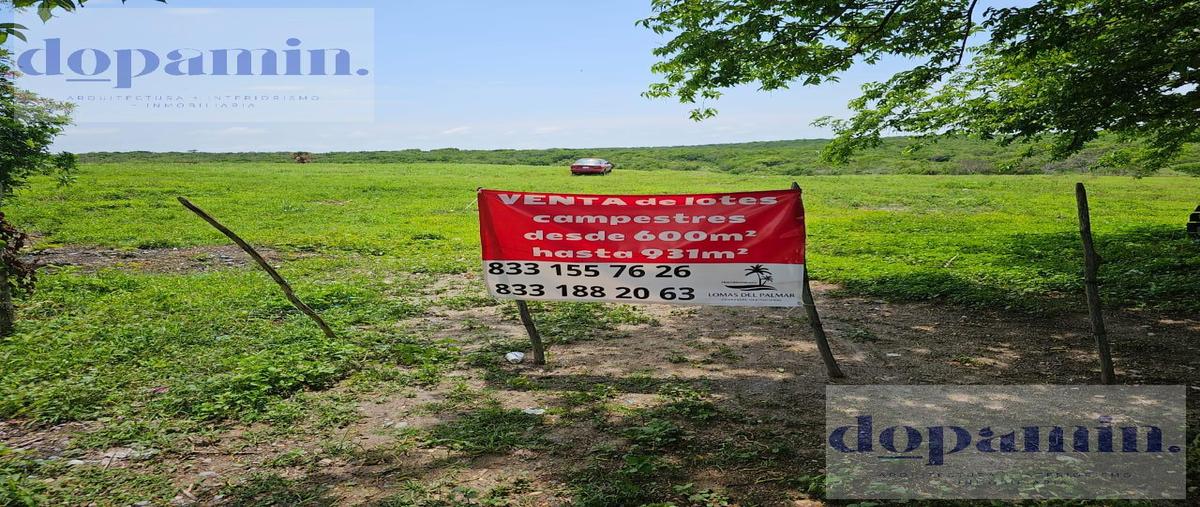 Foto de terreno habitacional en venta en  , buenavista, tampico alto, veracruz de ignacio de la llave, 0 No. 03