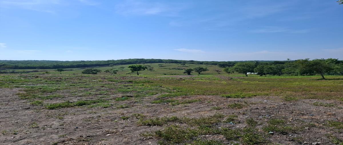 Foto de terreno habitacional en venta en  , buenavista, tampico alto, veracruz de ignacio de la llave, 0 No. 03