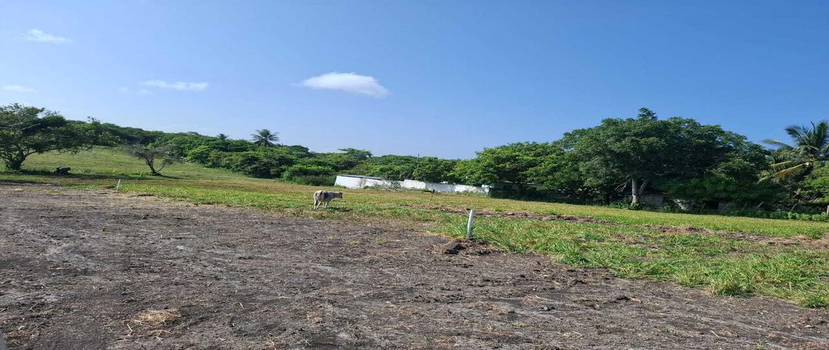 Foto de terreno habitacional en venta en  , buenavista, tampico alto, veracruz de ignacio de la llave, 0 No. 04