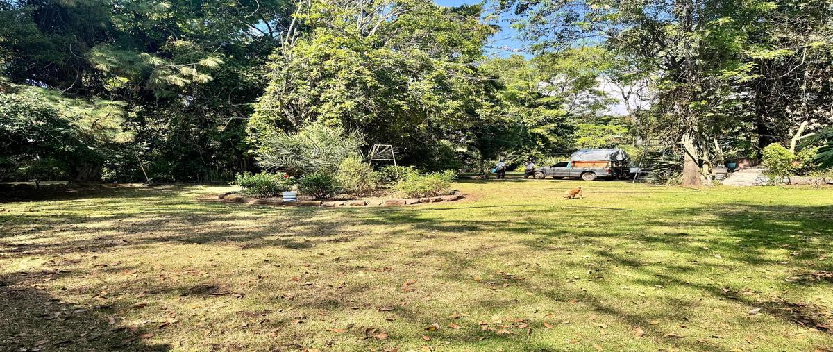 Foto de terreno habitacional en venta en  , buenavista, villa guerrero, méxico, 0 No. 03