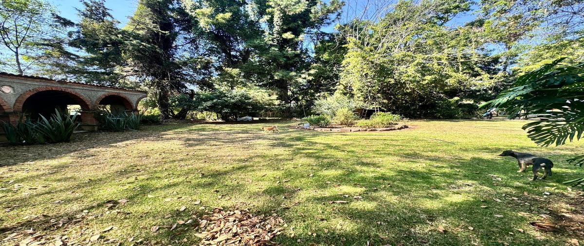 Foto de terreno habitacional en venta en  , buenavista, villa guerrero, méxico, 0 No. 04