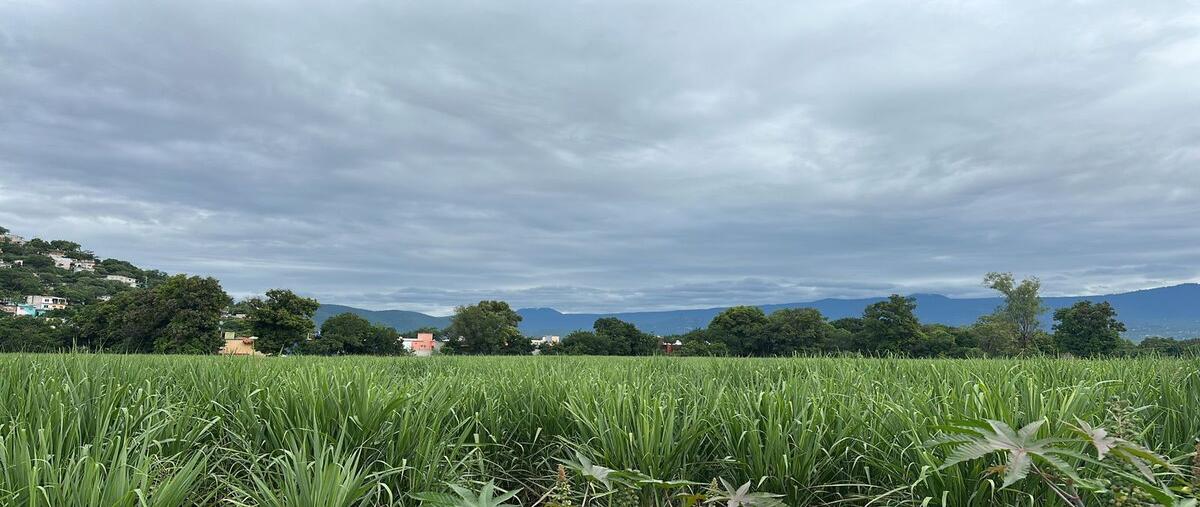Foto de terreno habitacional en venta en  , buenavista, yautepec, morelos, 0 No. 02