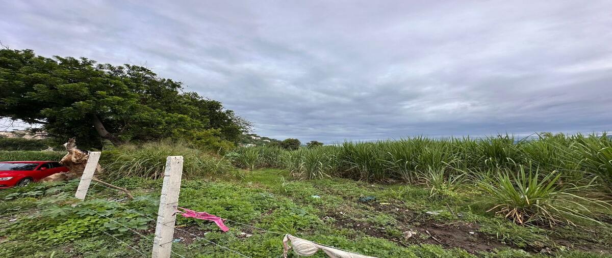 Foto de terreno habitacional en venta en  , buenavista, yautepec, morelos, 0 No. 03