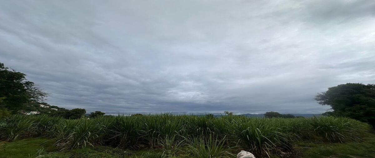Foto de terreno habitacional en venta en  , buenavista, yautepec, morelos, 0 No. 05