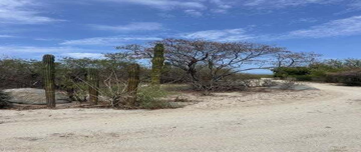 Foto de terreno habitacional en venta en buenos aires , los barriles, la paz, baja california sur, 28360958 No. 04