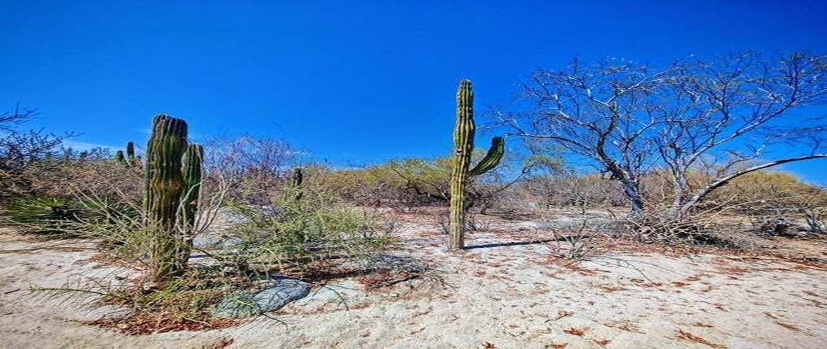 Foto de terreno habitacional en venta en buenos aires , los barriles, la paz, baja california sur, 28360958 No. 05