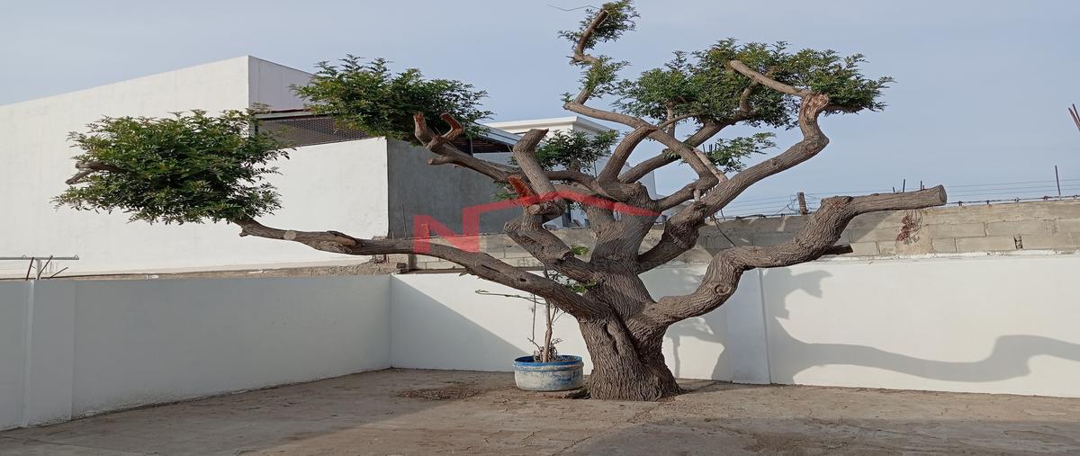 Foto de casa en renta en buenos aires norte 0, buenos aires norte, tijuana, baja california, 0 No. 05