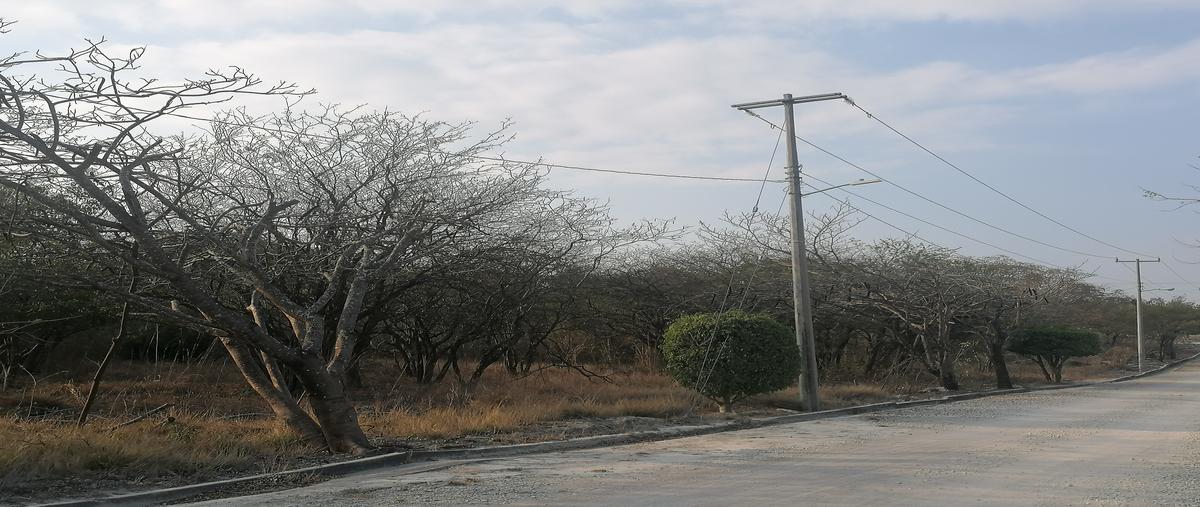 Foto de terreno habitacional en venta en bugambilia manzana 4 l-8 , residencial campestre, tuxtla gutiérrez, chiapas, 28176446 No. 04