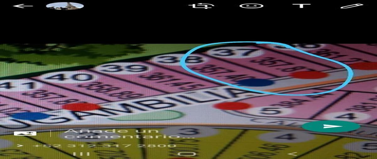 Foto de terreno habitacional en venta en bugambilias , el mirador de colima, colima, colima, 29876324 No. 03