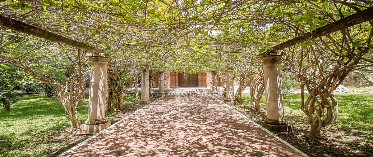 Foto de rancho en venta en bugambilias , jonacatepec, jonacatepec de leandro valle, morelos, 29805373 No. 03